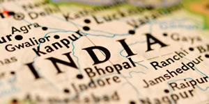 Go to Market Sales Network